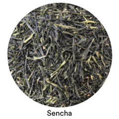 Sencha