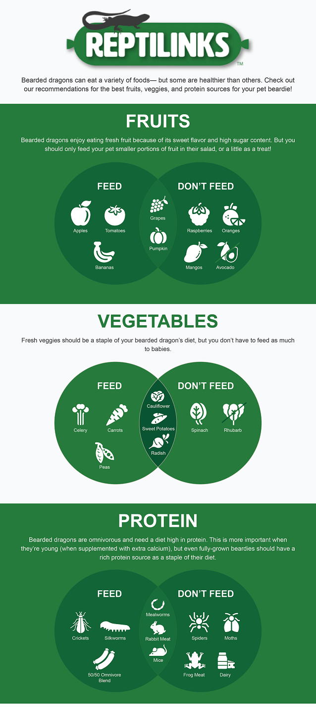 What Foods Are Toxic to Bearded Dragons?