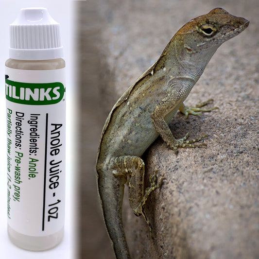 25/25/50 Omnivore blend + Insects for Bearded Dragons & Blue-tongued S –  Reptilinks