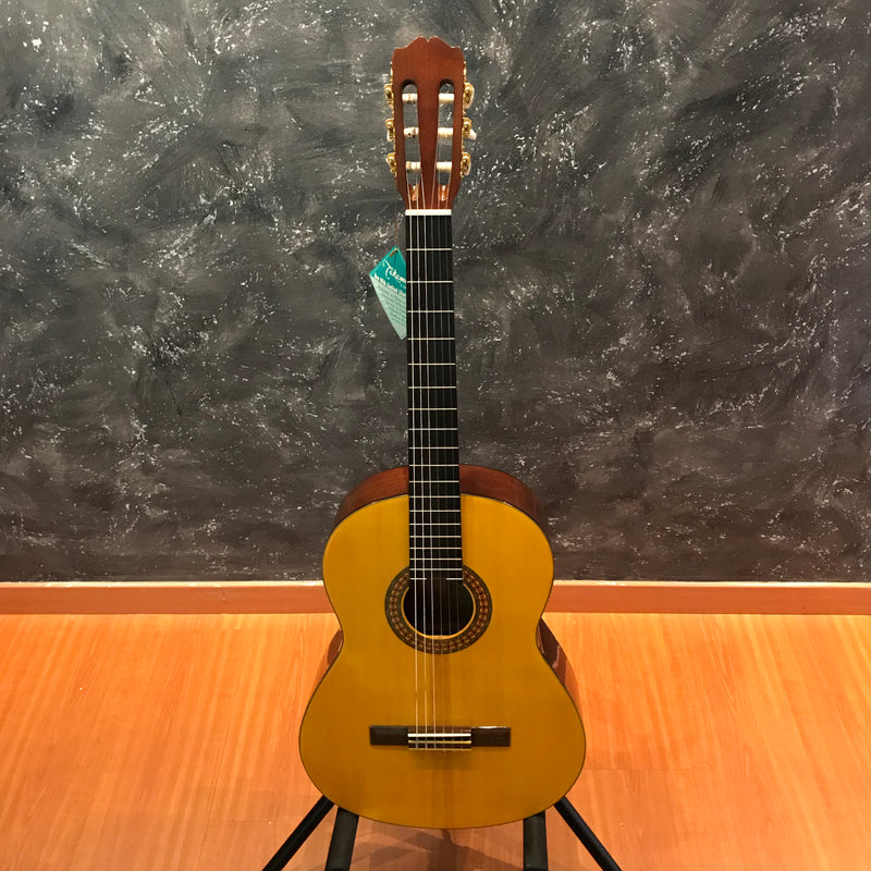 takamine g series g124