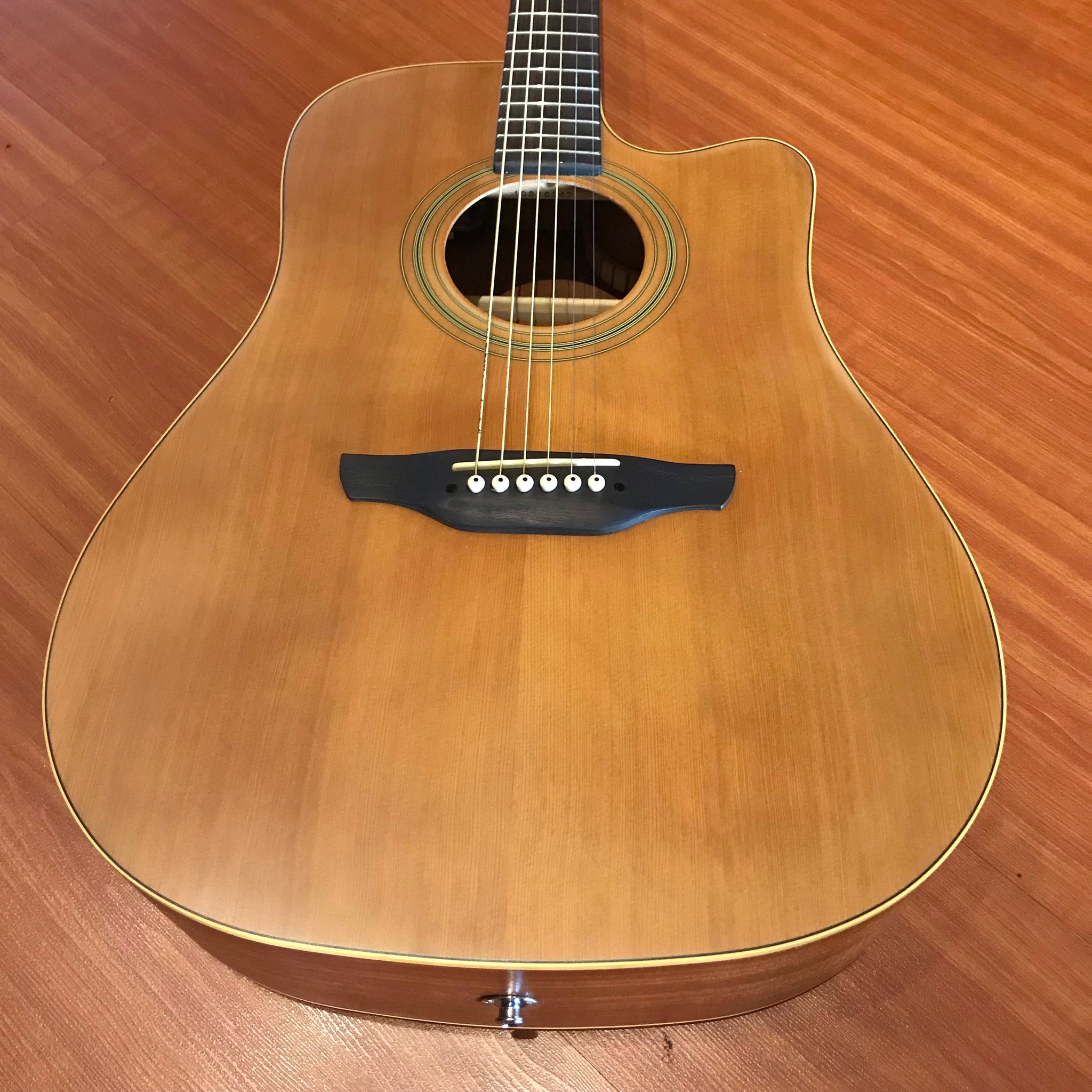 takamine egs330sc price