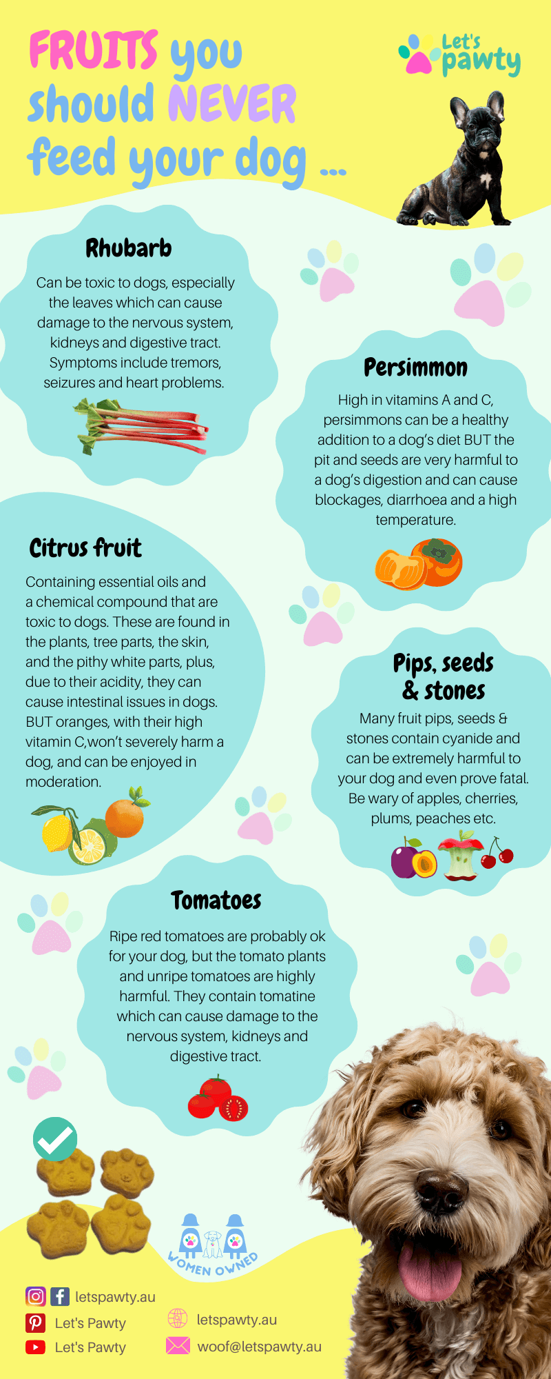 Fruits you should never feed your dog and why by Let's Pawty