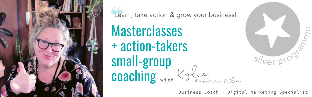 silver-small-group-coaching-hello-media-digital-marketing-coaching-kylie-mowbray-allen-business-coach