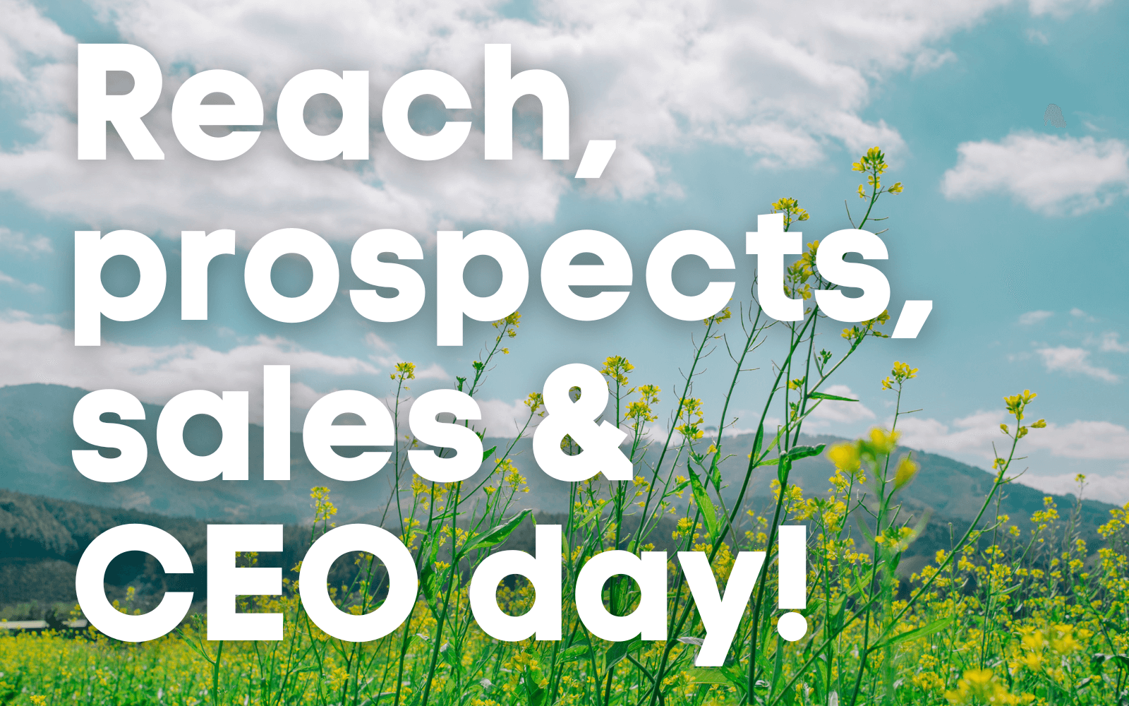 reach, leads, prospects, sales and ceo day to get clarity and structure in your business