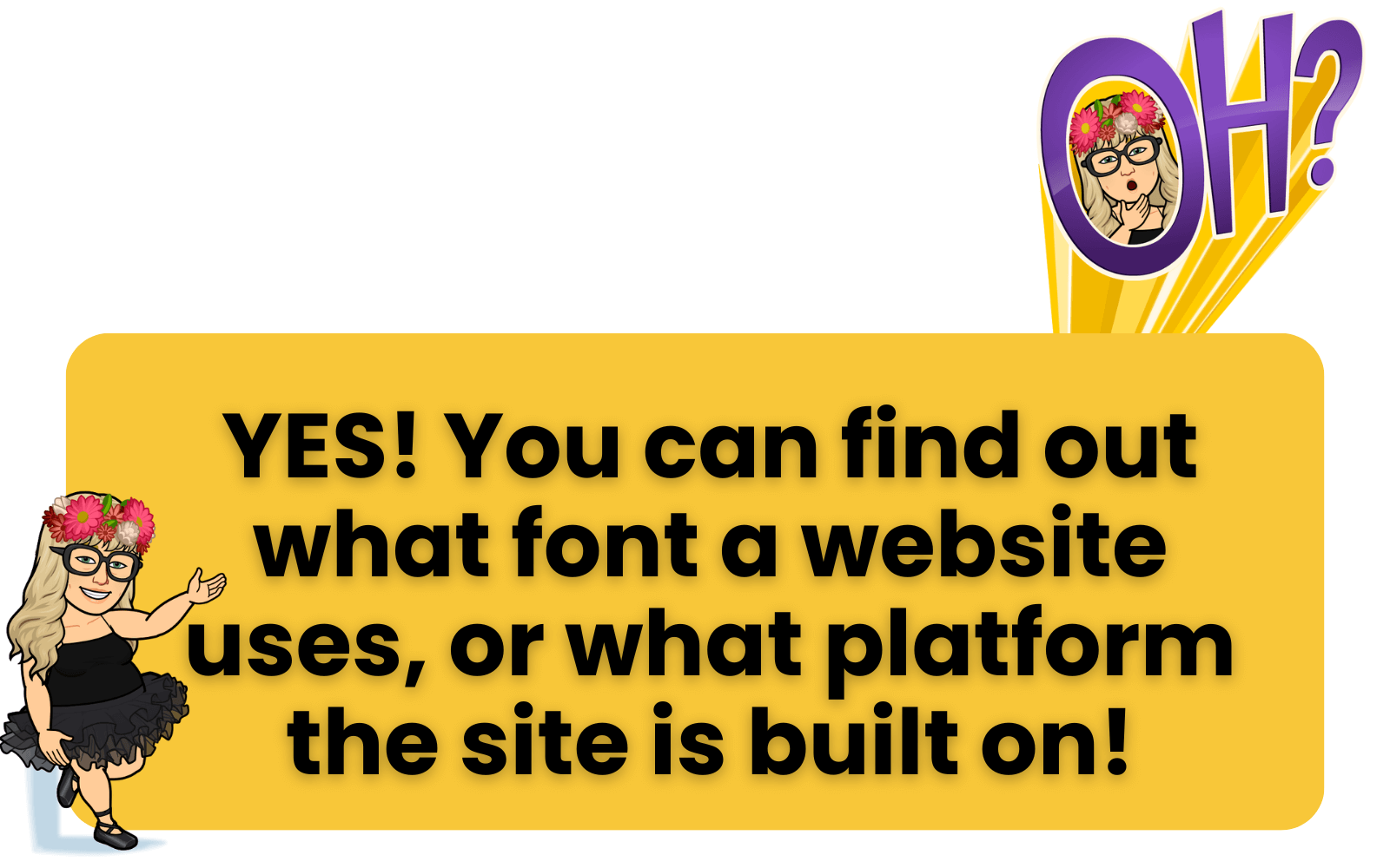 what platform is a website built on, or what font does a website use?