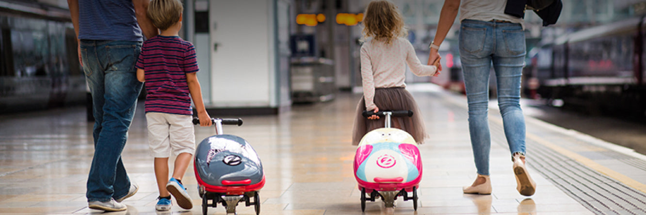 flyte scooter luggage