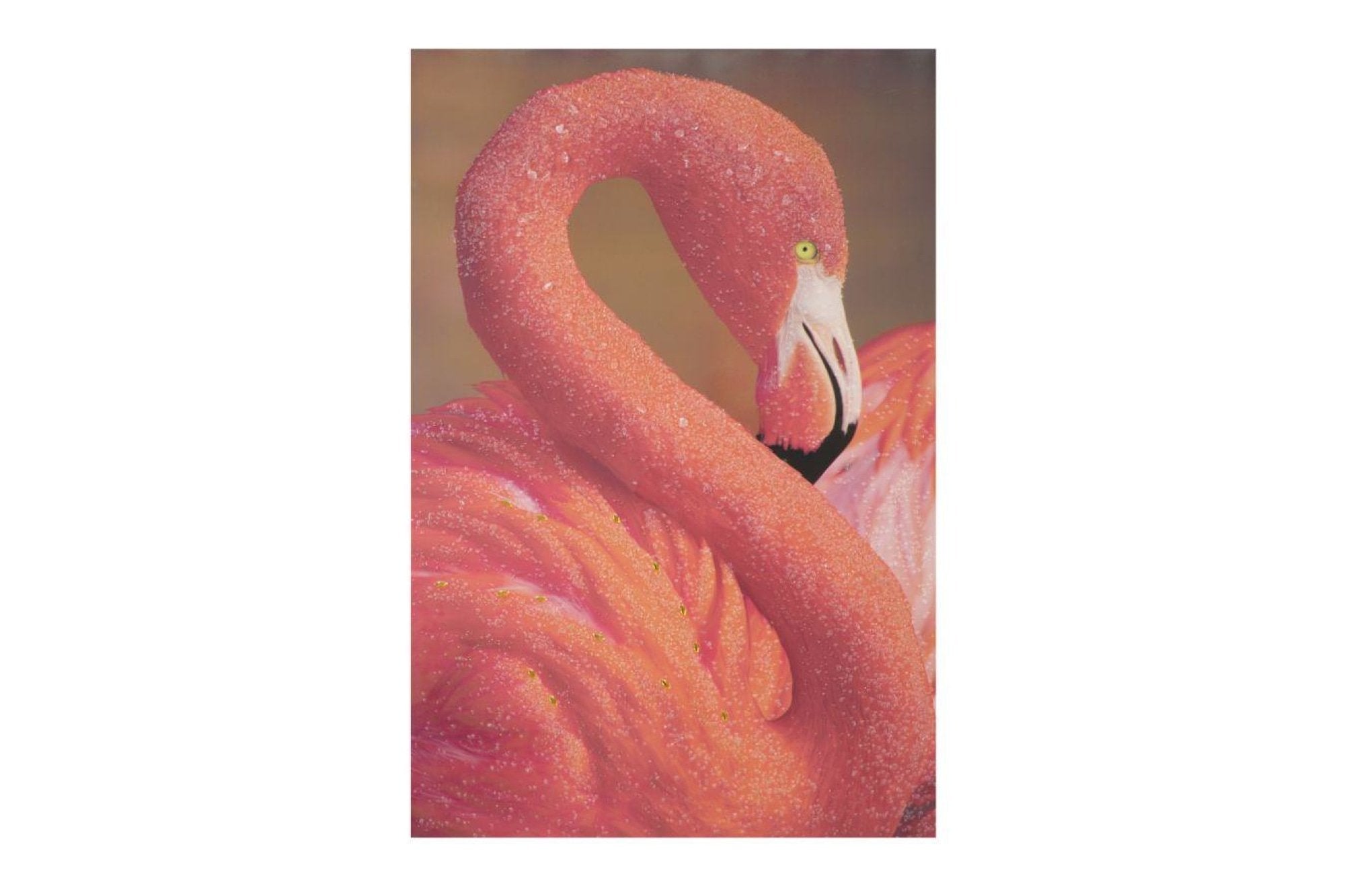 FLAMINGO rózsaszín vászon falikép