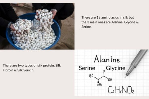 Alanine is an amino acid present in Silk and has multiple benefits for our skin