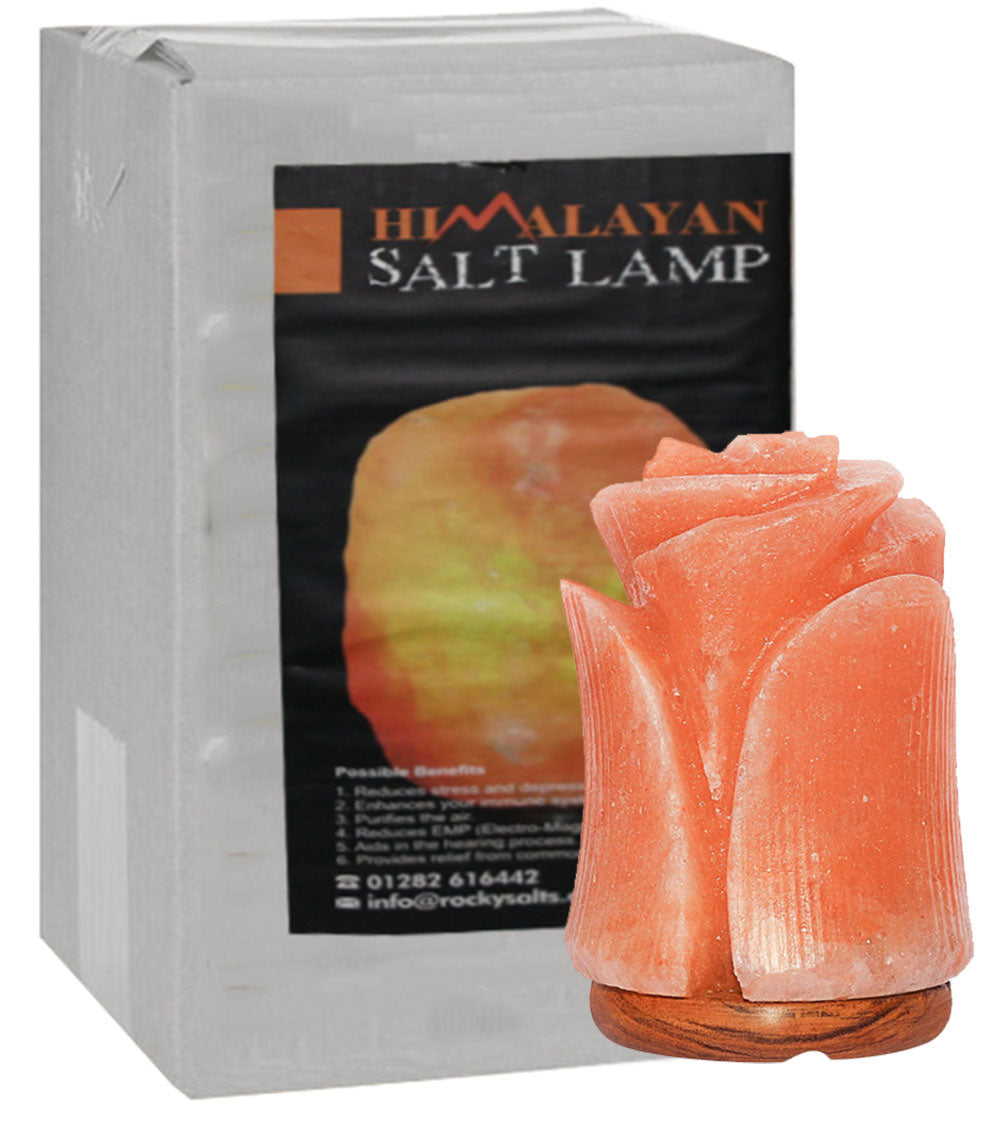 huntington home salt crystal lamp