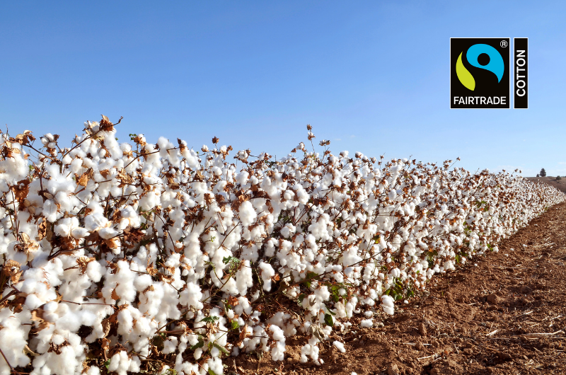 Fairtrade cotton