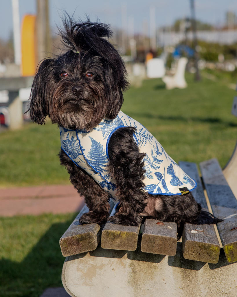 NYC Taxi Handknit Dog Sweater (Dog & Co. Exclusive)