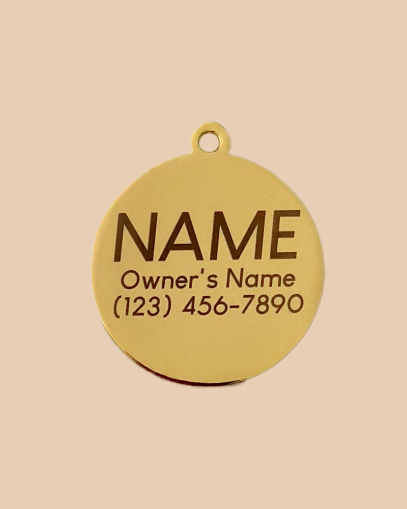 Funny Dog Tags  Custom Engraved Dog Tags For Pets – Two Tails Pet Company