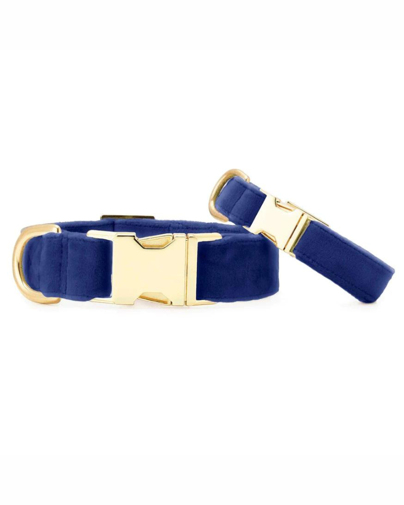 Navy Velvet Dog Collar