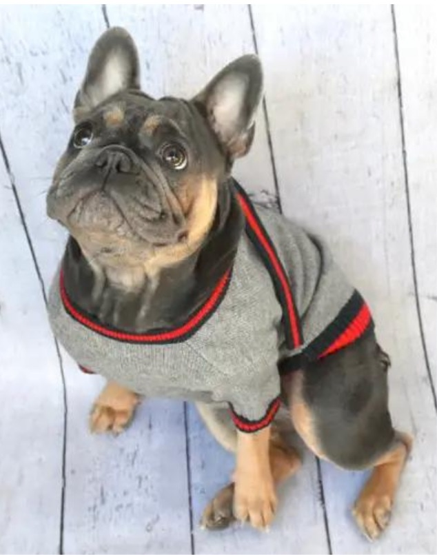 Luxe Stripe Tie Dog Sweater