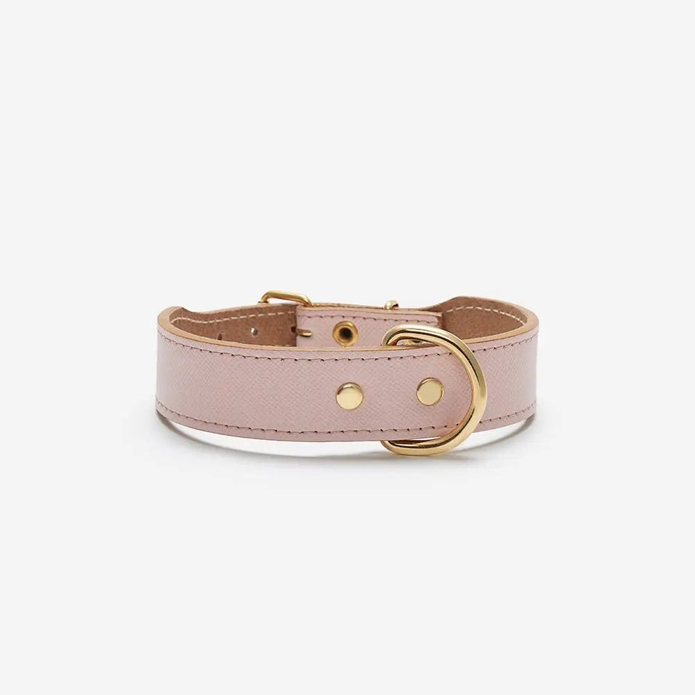 BRANNI, Small Dog Collar in Cognac Leather (Made in Italy)