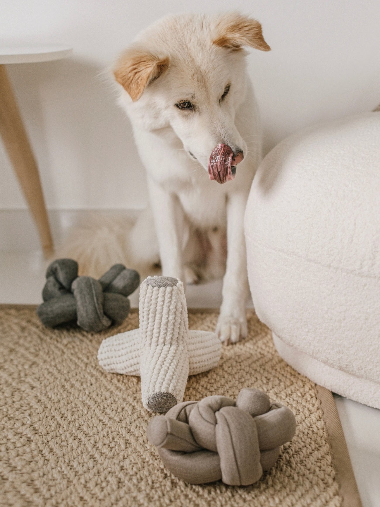 Breuer Crinkle & Squeak Dog Toy in Cream