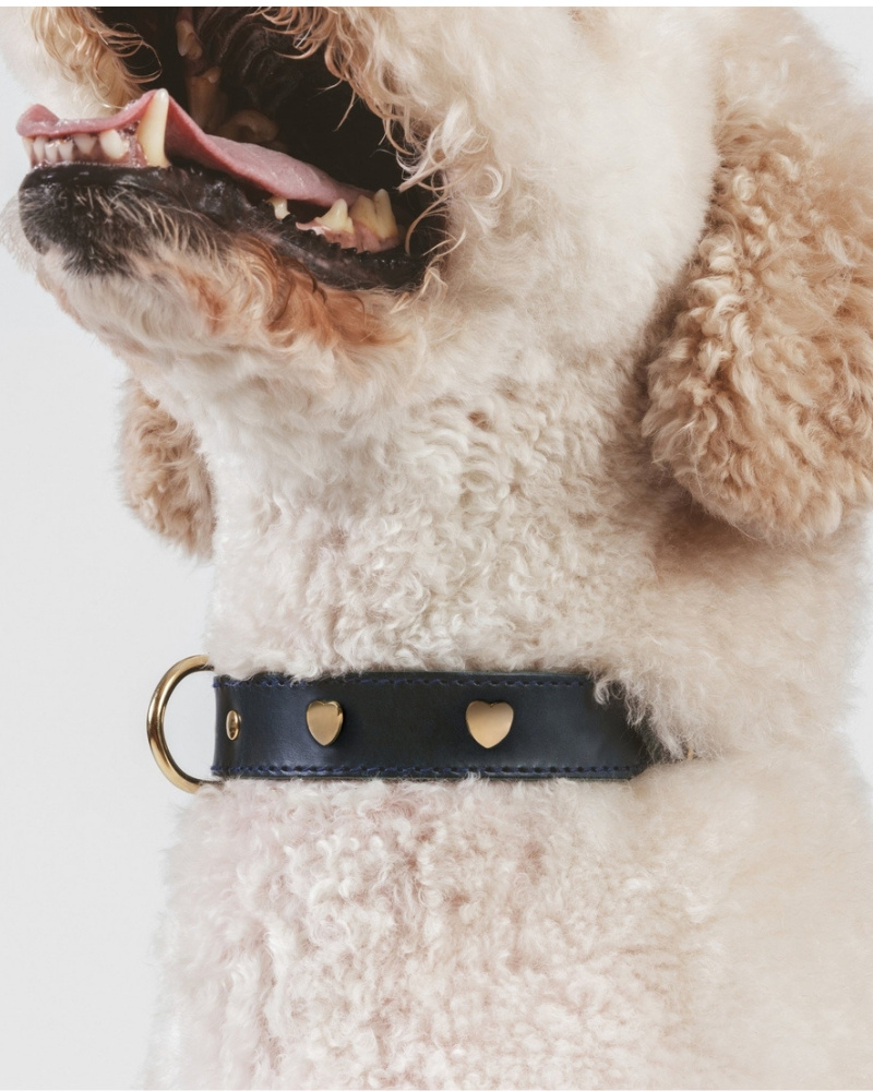 BRANNI, Small Dog Collar in Cognac Leather (Made in Italy)