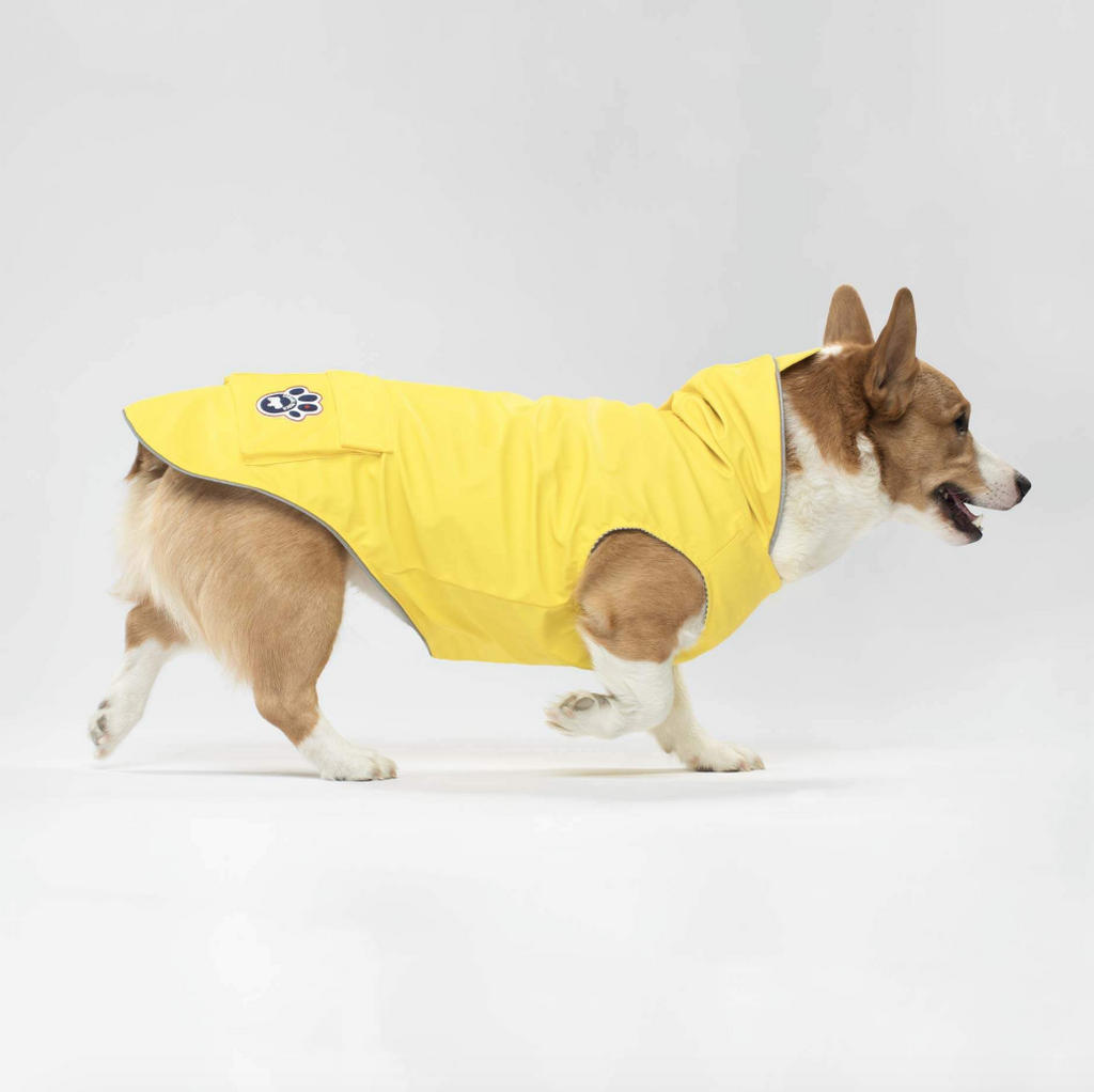 Torrential Tracker Dog Raincoat in Yellow << FINAL SALE >>
