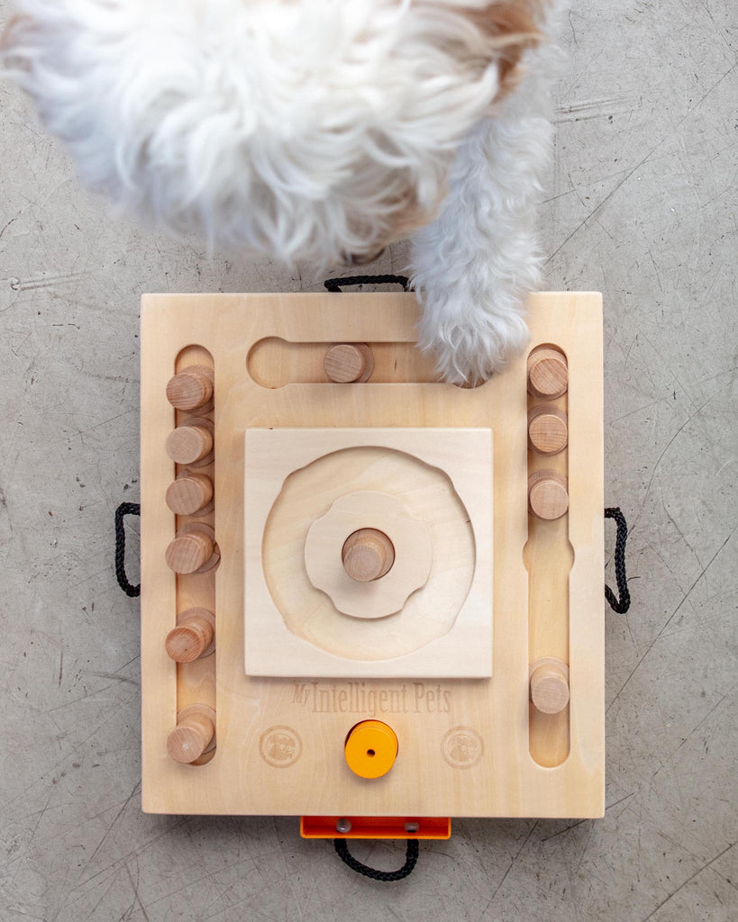 Turntable Dog Puzzle - Fur to Fin