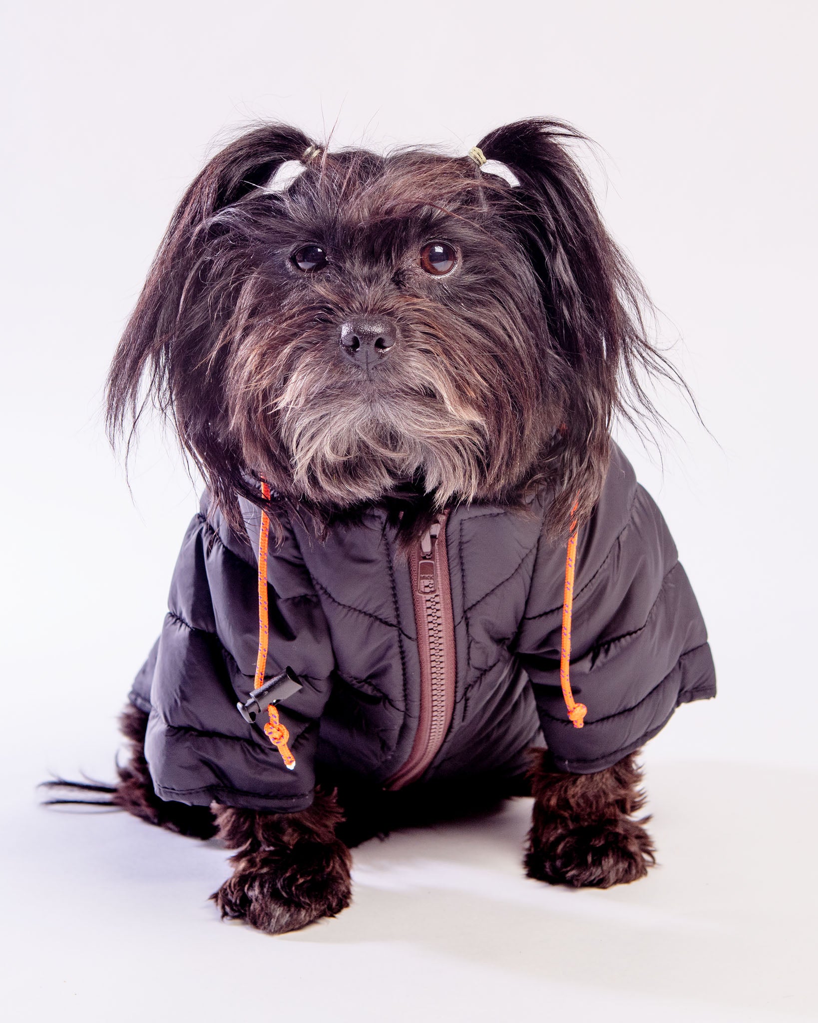 Dog Puffer Jacket in Black