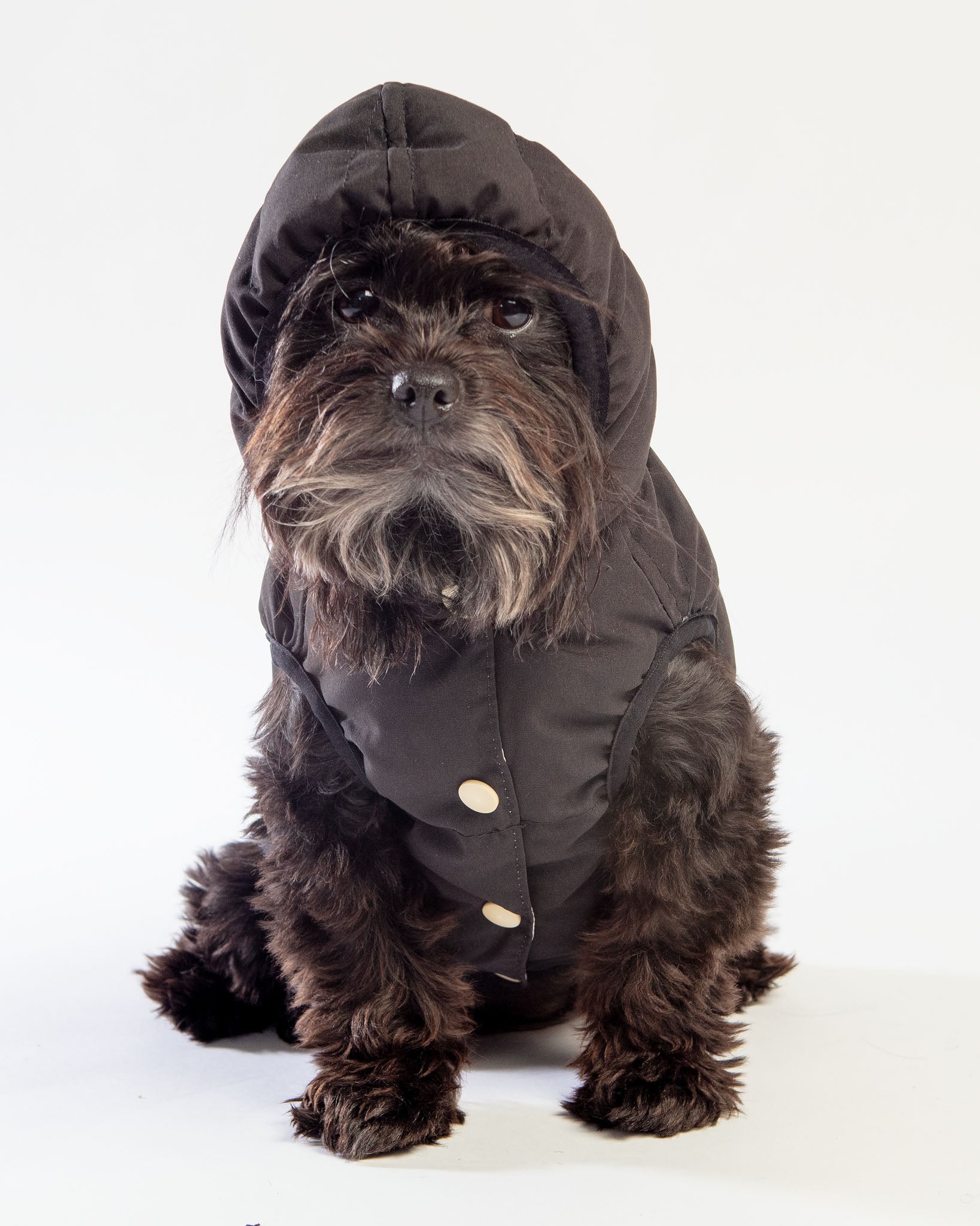 Black Aspen Puffer Dog Jacket