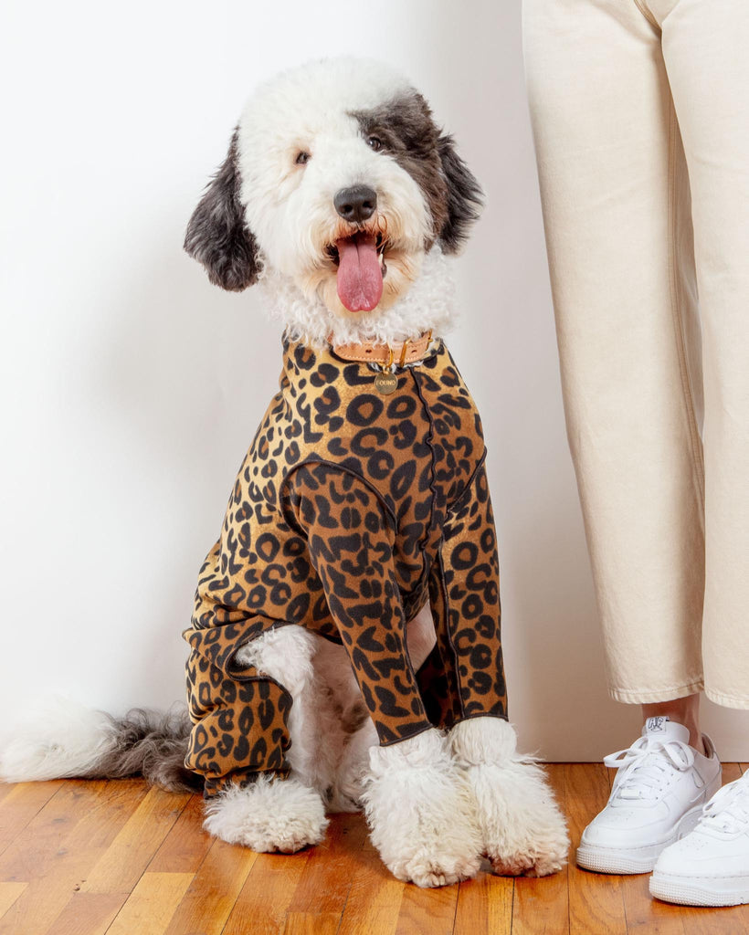 GOLD PAW, Stretch Fleece Onesie in Charcoal (DOG & CO. + GOLD PAW  Exclusive!)