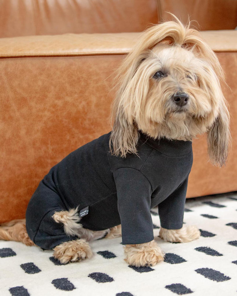 Designer-inspired Grrucci Embroidered Dog T-Shirt