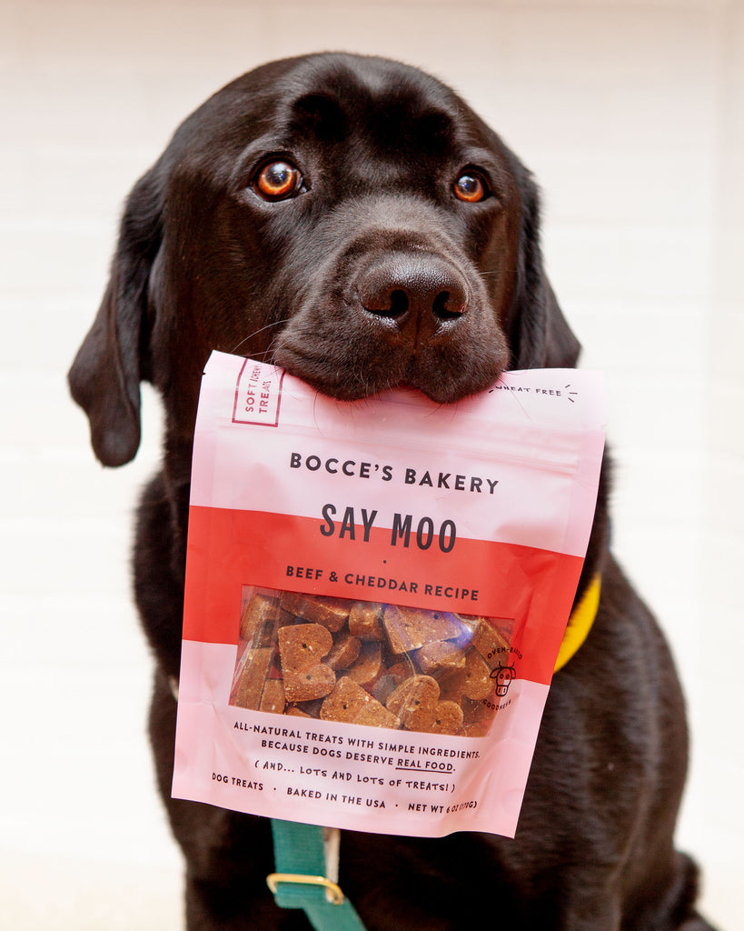 BOCCE'S BAKERY | Say Moo Soft & Chewy Treats | DOG & CO.