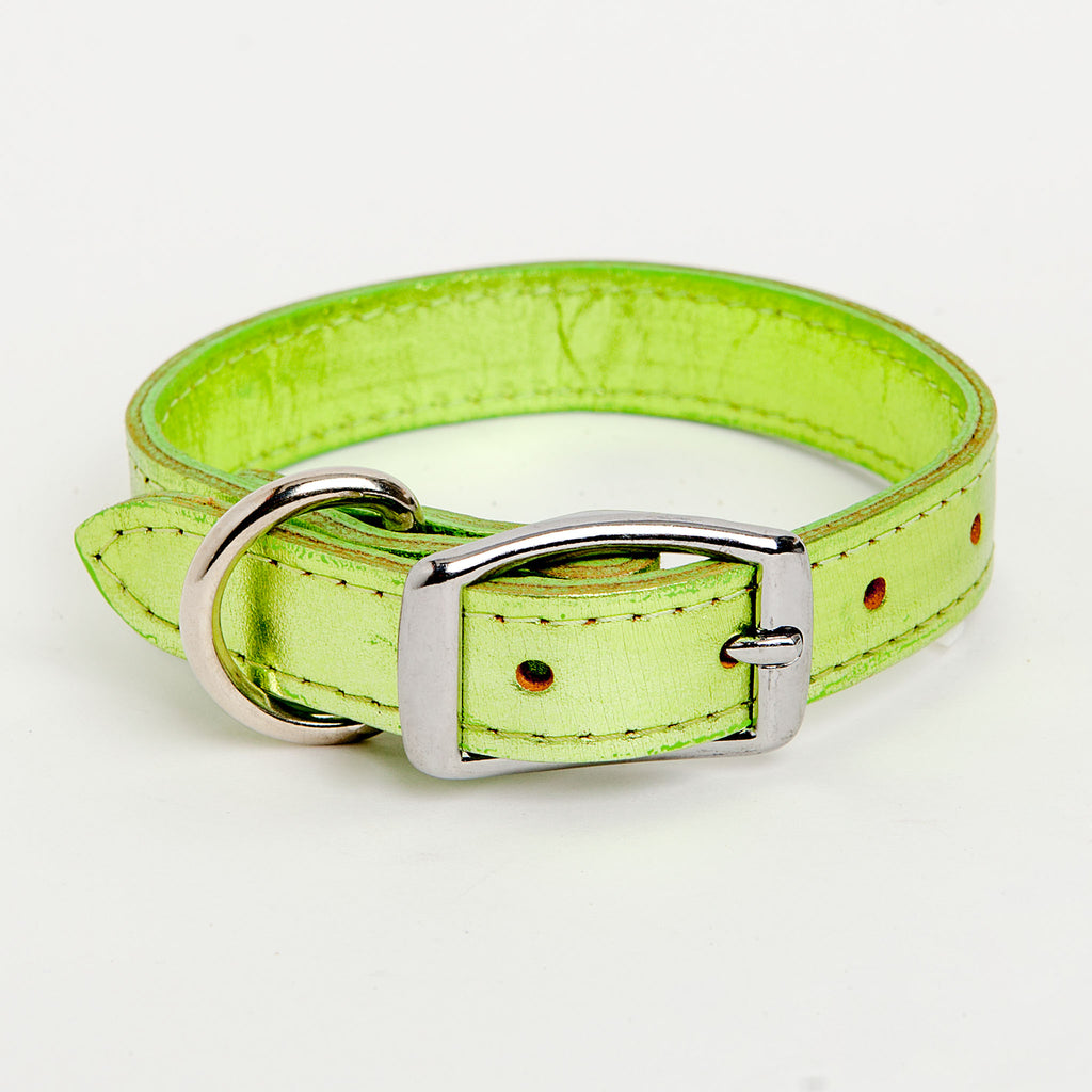 dog and co collars