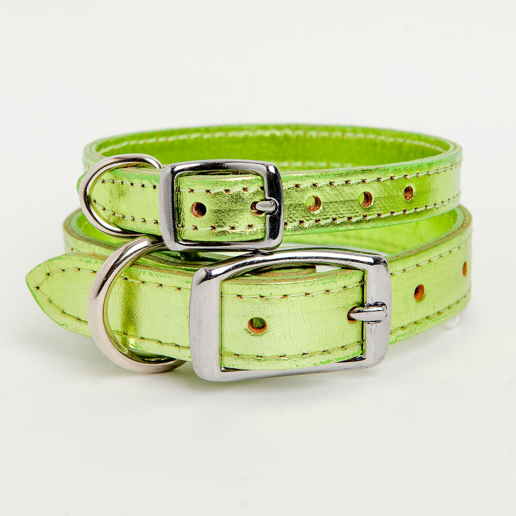 dog and co collars