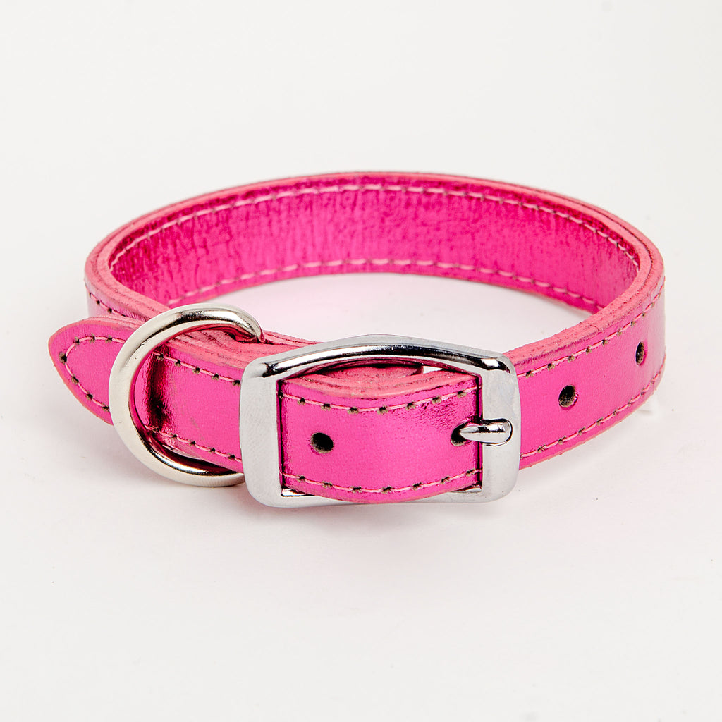 dog and co collars