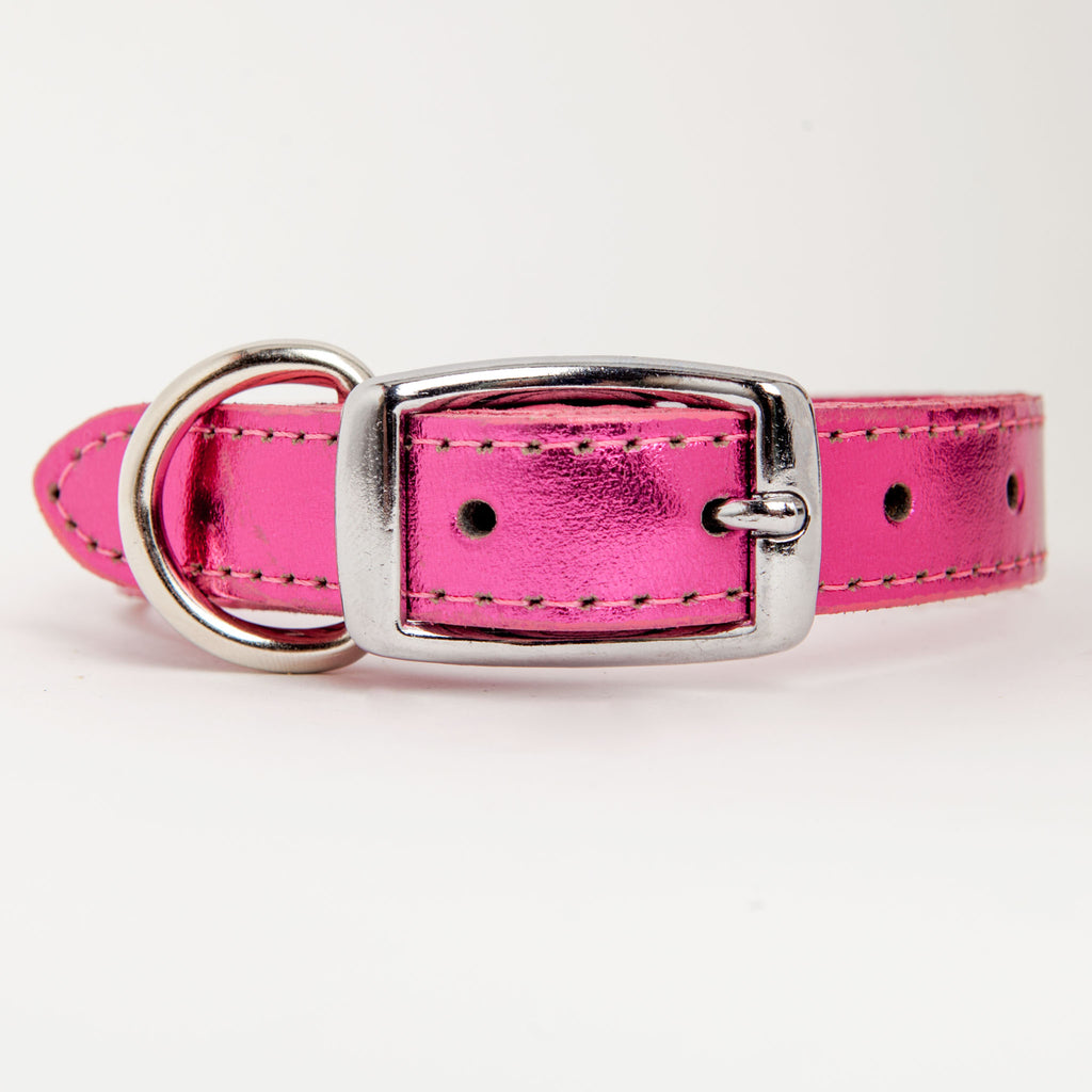 dog and co collars