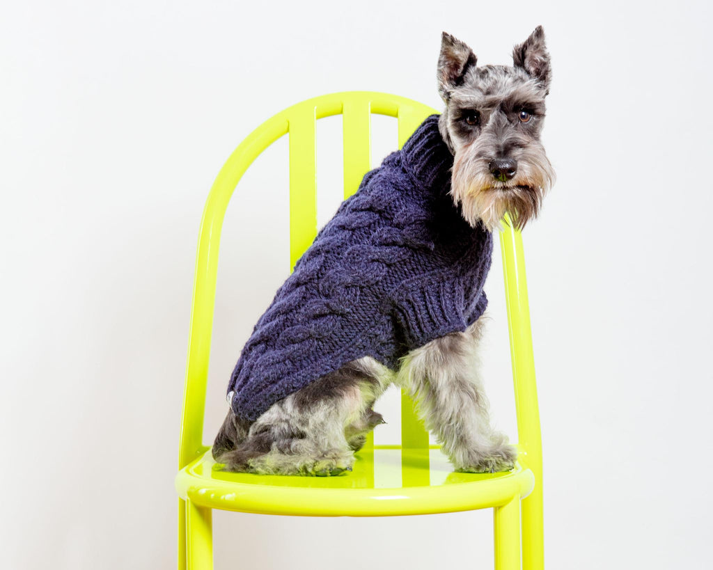 Mountain Pass Fleece Dog Sweater – Tooth & Honey