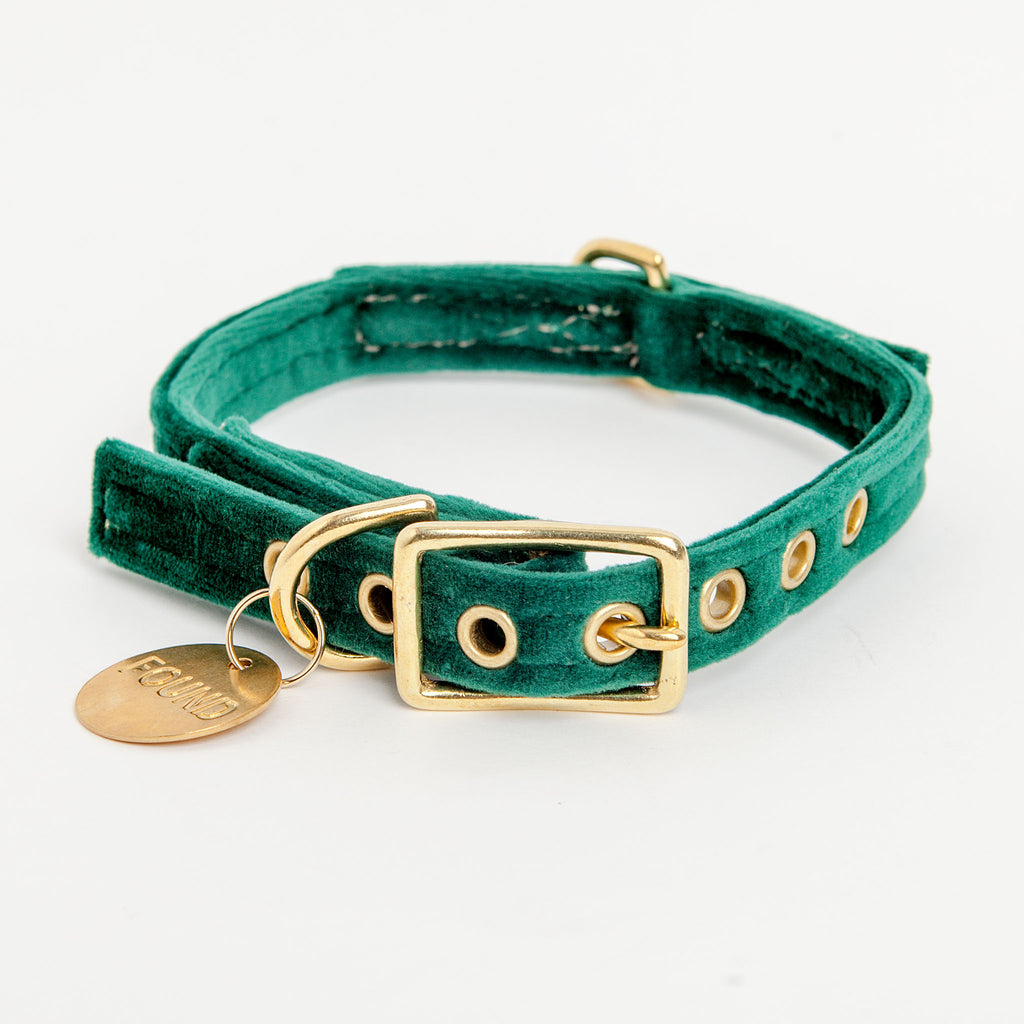 dog and co collars