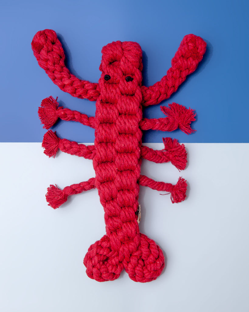 Injoya Snuffle Toy  Lobster - The Pet Beastro