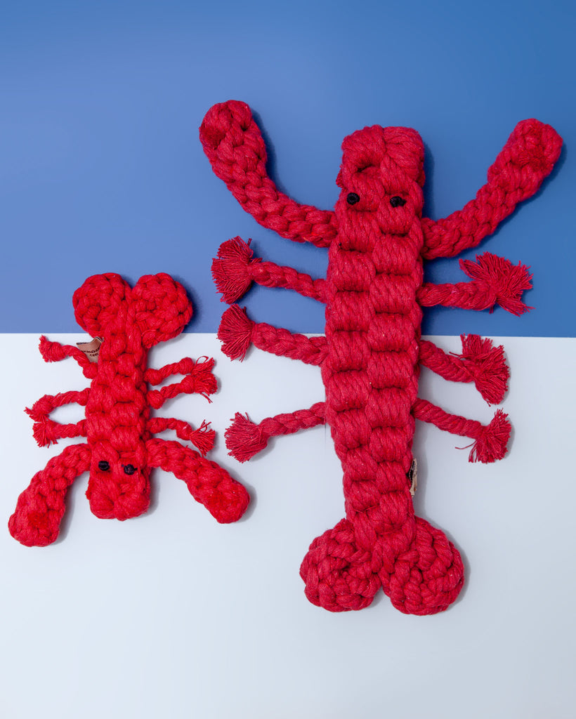 Injoya Lobster Snuffle Toy