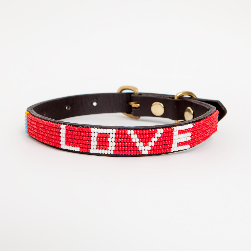 dog and co collars