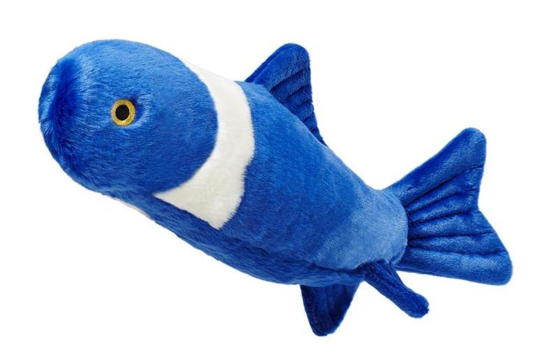 fish dog toy