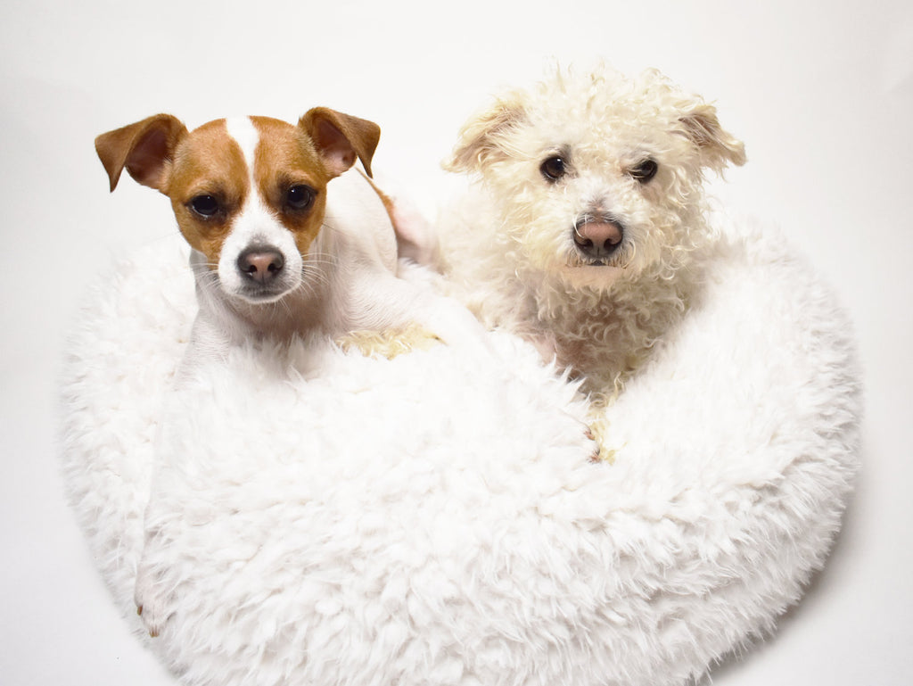 MODERN BEAST | Pod Bed in White - DOG & CO.