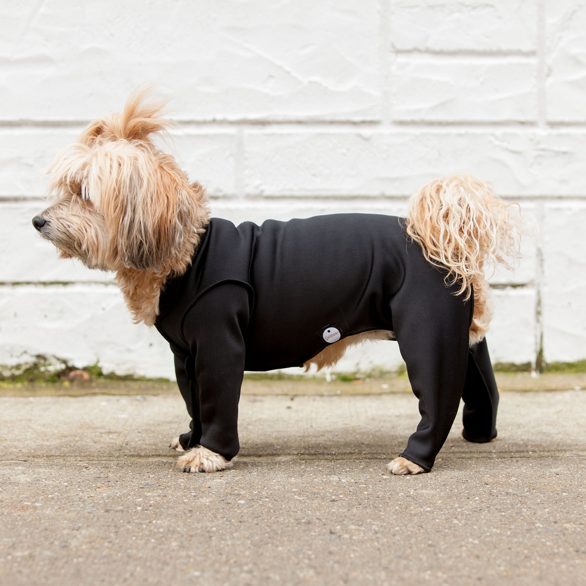 Stretch Onesie in Water Resistant Black (Exclusive Product!) by Dog & Co.