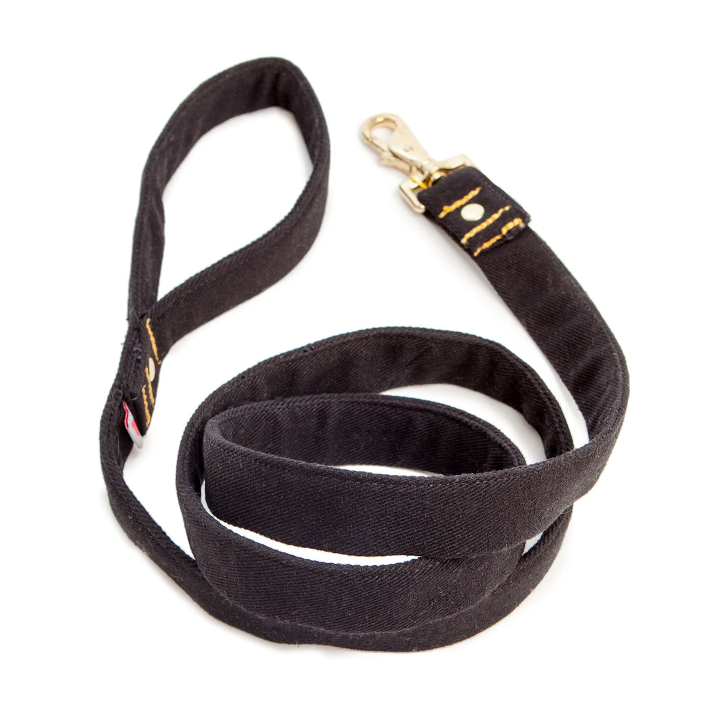 ware of the dog two tone leather dog collar lead the walk