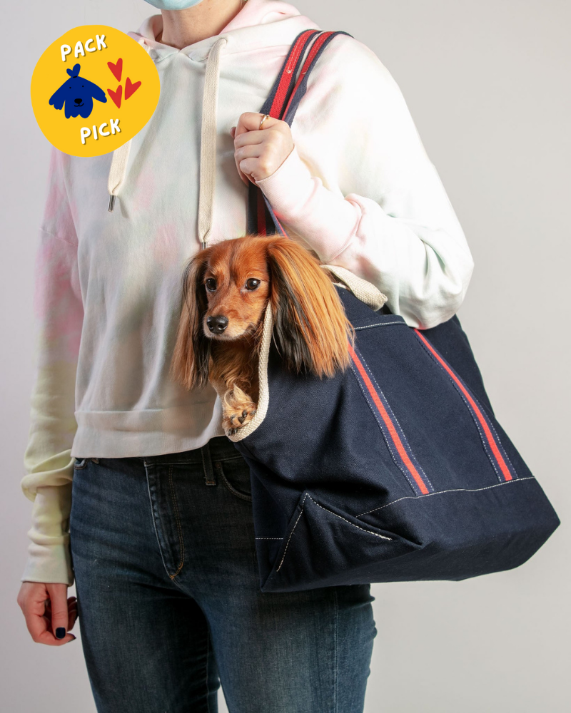 OLLA - Dog Carrier  Pet Carrier – Lambwolf Collective