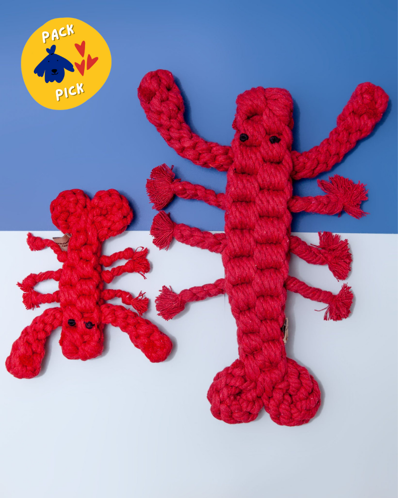 Snuffle Toy - Lobster