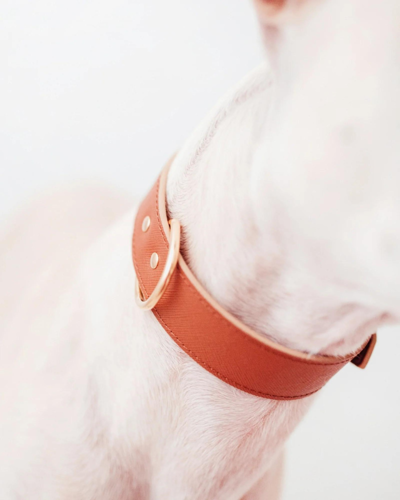 BRANNI, Small Dog Collar in Red Leather (Made in Italy)