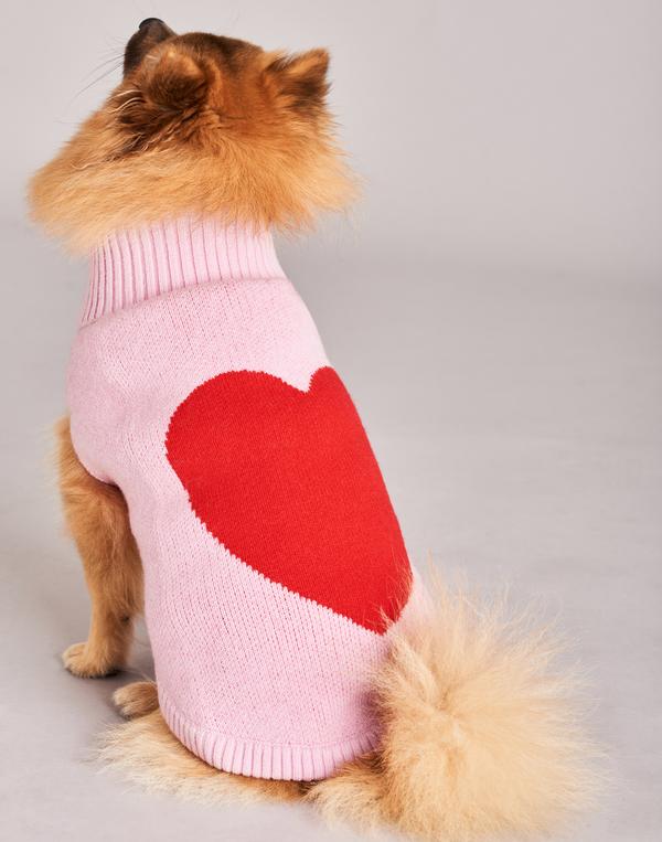 tiny dog sweater