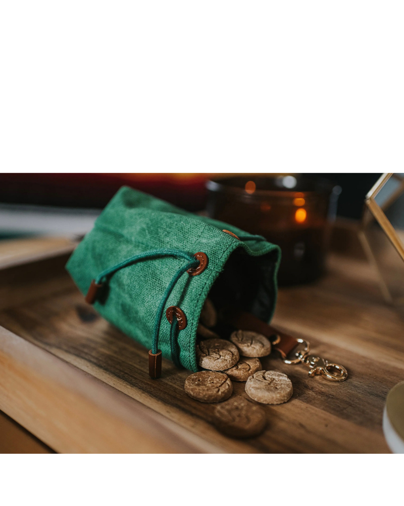 Waxed Canvas and Vegan Leather Dog Treat Knapsack in Evergreen