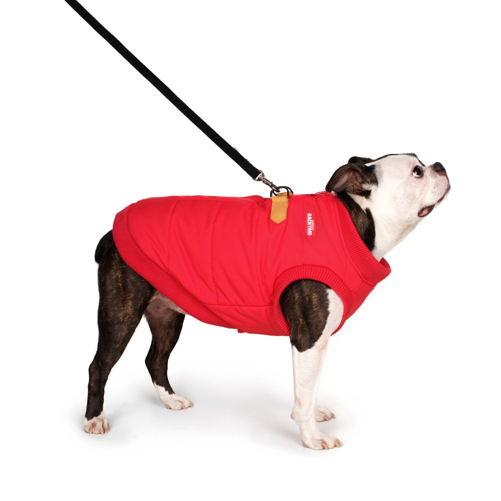 CHARLIE'S BACKYARD | Harness Jacket in Red | DOG & CO.