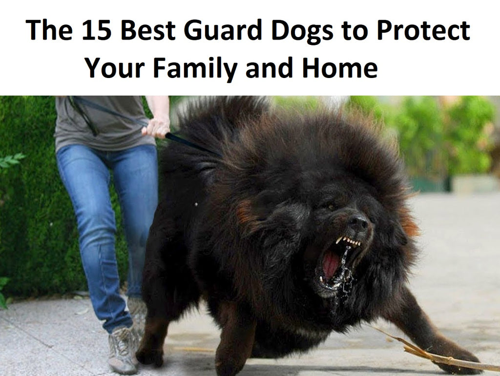 best guard dog breeds for families with children