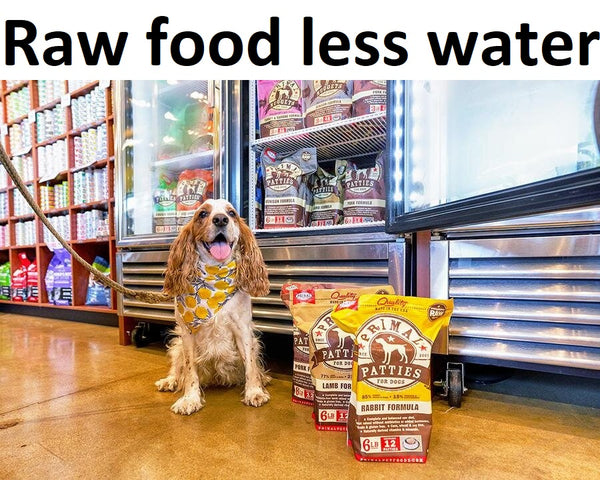 dog not pooping on raw food diet