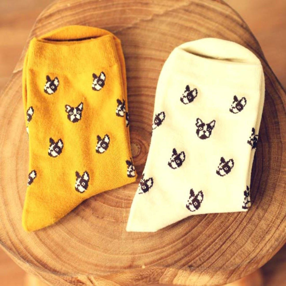 Best French Bulldog Socks in 2023 Check it out now 